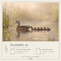 Close Behind | Wood Duck With Chicks Art Print & Notecard