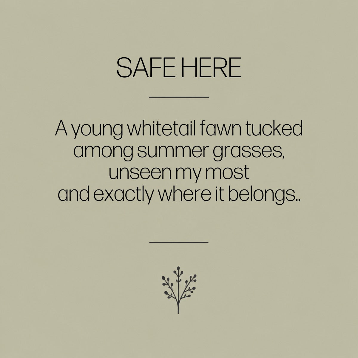 Safe Here | Whitetail Fawn Art Print & Notecard