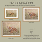 Safe Here | Whitetail Fawn Art Print & Notecard