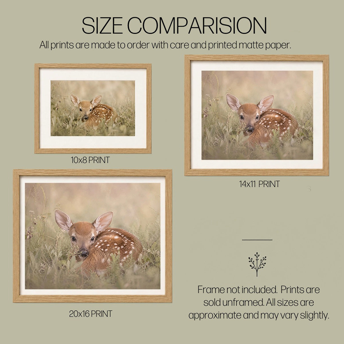 Safe Here | Whitetail Fawn Art Print & Notecard