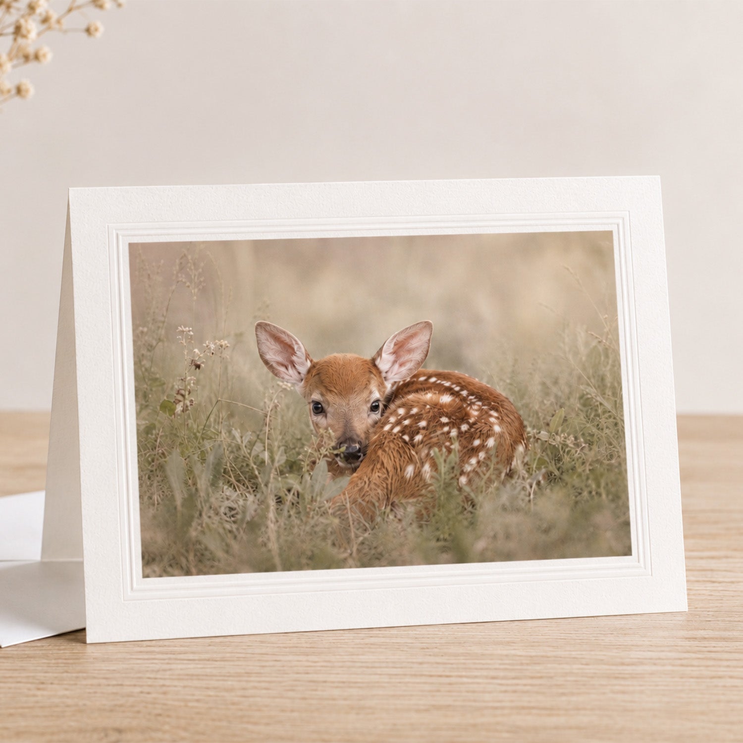 Safe Here | Whitetail Fawn Art Print & Notecard