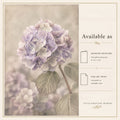Softly Blooming | Hydrangea Art Print & Notecard